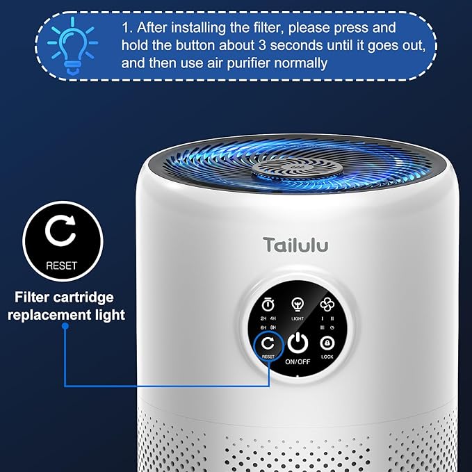 Tailulu D10 Replacement Filte, Air Purifier Filter for Tailulu D10 Air Purifier, 3-in-1 H13 Grade True Replacement Filte, D10 Replacement Filter 1 Pack