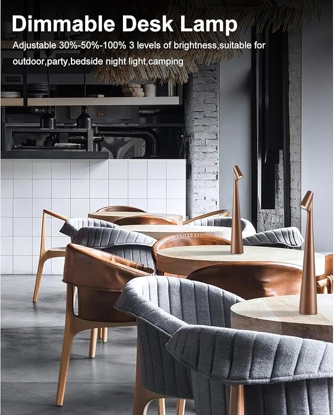 Cordless Small Table Lamps Set of 2,3 Levels Brightness Portable Desk Lamp,Rechargeable Battery Lights for Outdoor, Restaurant, Bedside, Baby Night Light,Gifts(Brown)