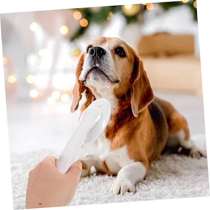Pet Hair Remover Brush for Laundry Lint Brush for Clothing Sofa Static Lint Remover for Quick Clean
