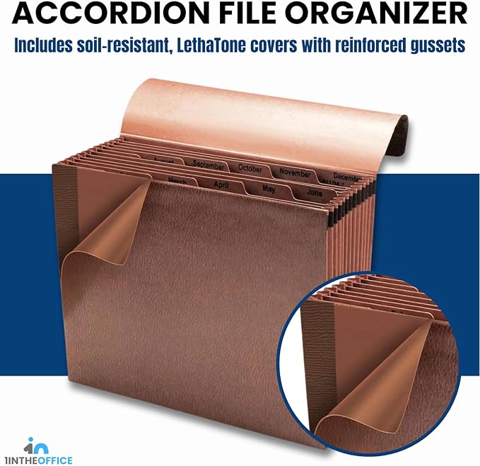 1InTheOffice Accordion File Organizer, Expandable File Folder Organizer, 12 Pocket Accordion Folder, Monthly Index, Elastic Cord, 1/6-Cut Tabs, Letter Size, Red Rope