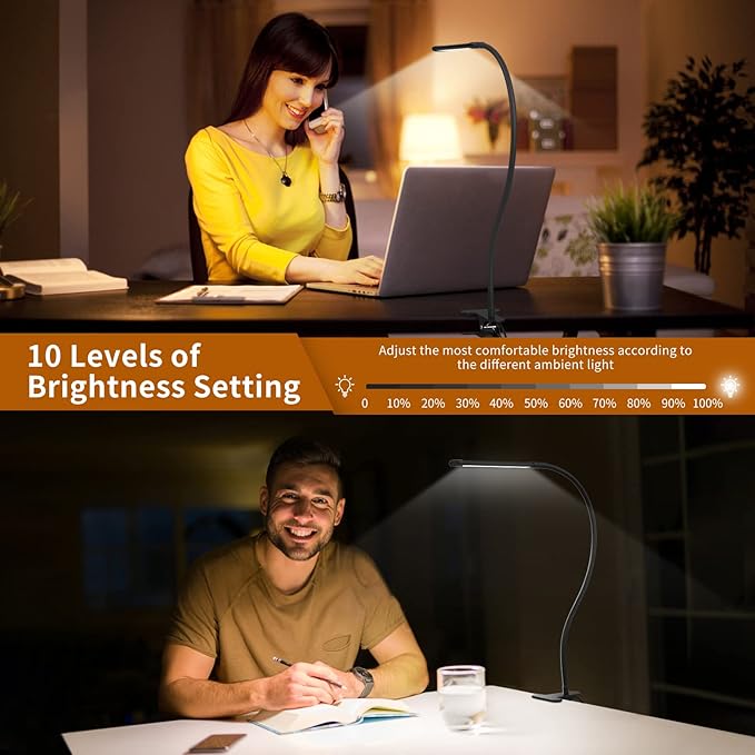 iZELL Desk Light [2-Pack] LED Desk Lamp with Clamp [77 LEDs with 3 Color Modes & 10 Brightness Levels] Flexible Gooseneck Book Light, Easy Clip-on Reading Light