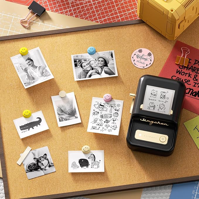 NIIMBOT B21 Label Maker Inkless Bluetooth Label Printer, 2 Inch Portable Thermal Sticker Maker for Small Business, Address, Logo, Clothing, Mailing, Candles, Jewelry, Sticker Printer for Gift, Black