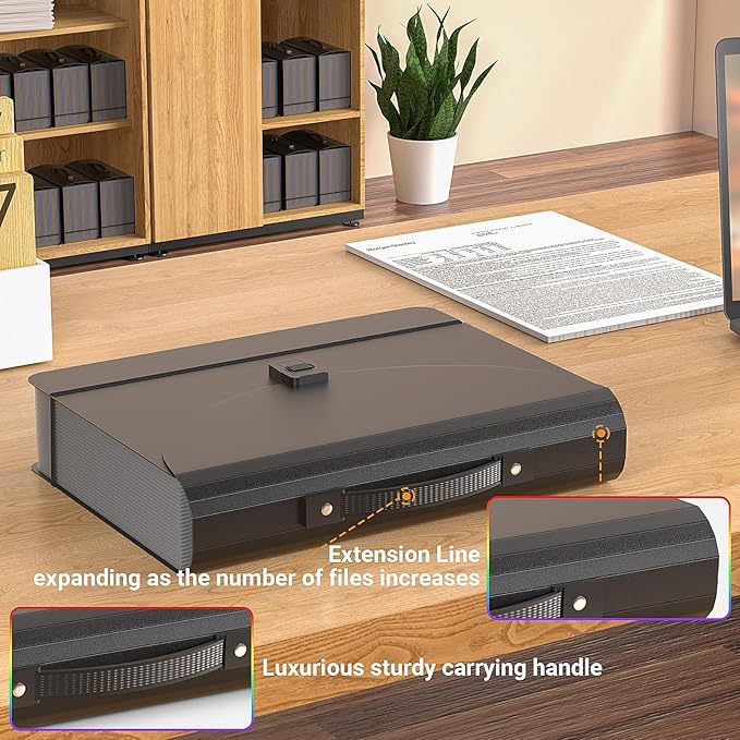 25 Pockets Expanding File Folders,Accordion File Organizer,Portable Filing Box with Plastic Handle,Expandable File Folder,Monthly Bill Receipt Paper and Document Organizer,Colored Tabs,A4/Letter Size