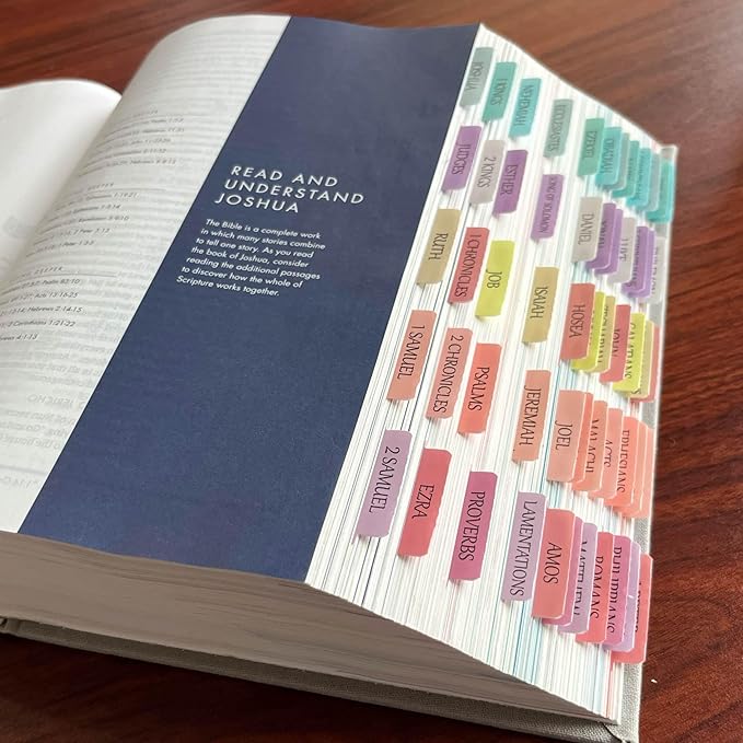 Reposition Large Text Bible Tabs, Contrast Color Bible Stickers for Women and Men, Easy to Read and Apply Bible Journaling Tabs (Bright Pastel)