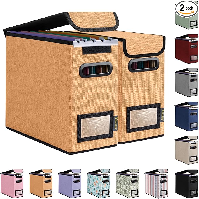 BALEINE File Organizer Box with Lid, Collapsible File Folder Organizer with Plastic Slide, Hanging File Folder Box for Office Document Storage (2 Pack, Orange, S)