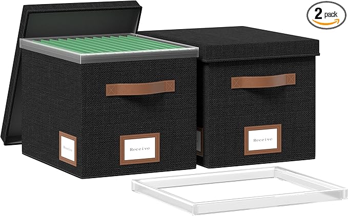 File Box for Hanging, File Organizer Box with Lid Decorative File Folders Organizer with One-Piece Integrated Plastic Slide Rail (Black, 13.2x10.1x10.1inch(2pack))