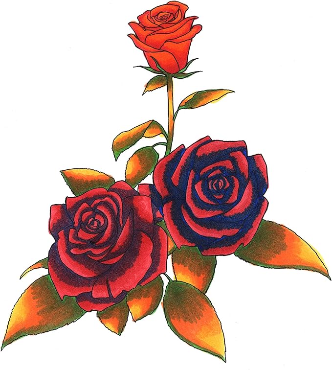 Copic Ciao, Alcohol Markers, 6 Colors Dual Brush Tip Art Marker for Adults/Teen Artists & Creators, Permanent Blendable Sketch Markers for Coloring Drawing & Illustration Art - Primary Color Set