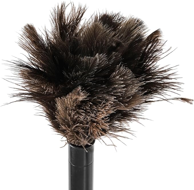 Goaste 2 Pack Ostrich Feather Duster, 10 Inch Fluffy Natural Feather Duster, Soft-Feather Mopping with Plastic Handle, Extensible Ostrich Feather Cleaning Supplies for Keyboard, Home, Car, Office