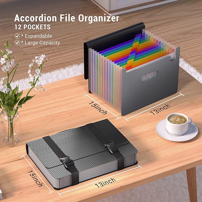 Expanding File Folders with Handle,Accordion File Organizer,12 Pockets Accordian Folders Expandable Filing Box,Portable Files Box for Documents Receipt Bill,A4/Letter Size,Diamond