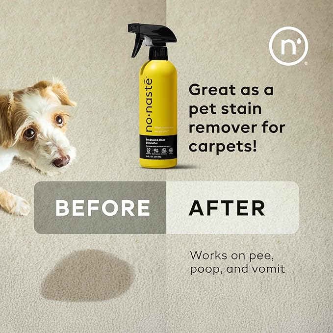 Nonaste Pet Stain & Odor Eliminator Spray (16 Oz, Pack of 1) – Enzyme Cleaner Spray for Dogs & Cat Messes, Works on Carpets & Upholstery | Pet & Kid Safe, Urine Odor Stain Remover, Light Fresh Scent
