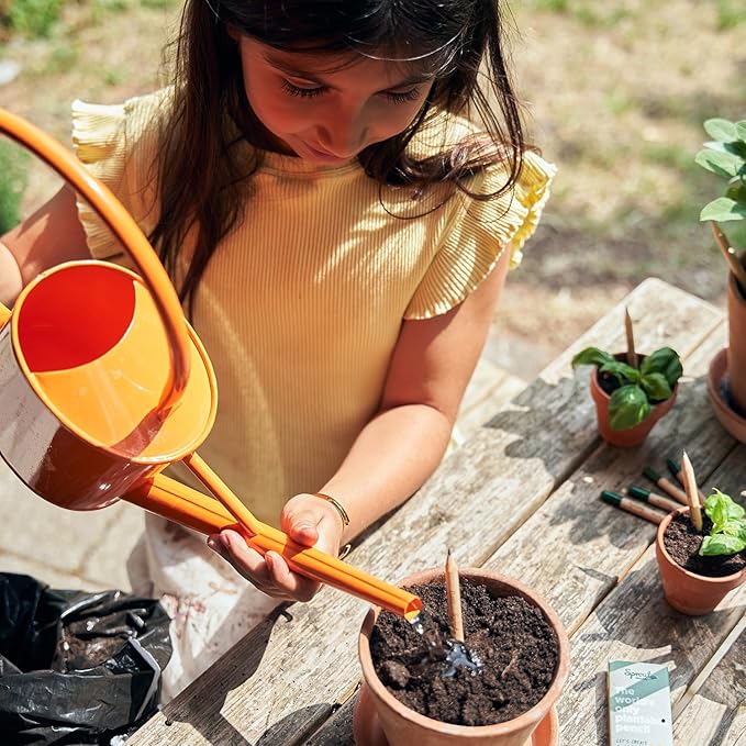 SproutWorld Wood-Cased Pencils | EVERYDAY EARTH | HB Pre-Sharpened Graphite Plantable Wooden Pencils with Flower, Herb & Vegetable Seeds |Gift Ideal for Drawing, Sketching & Shading | 12 Pack