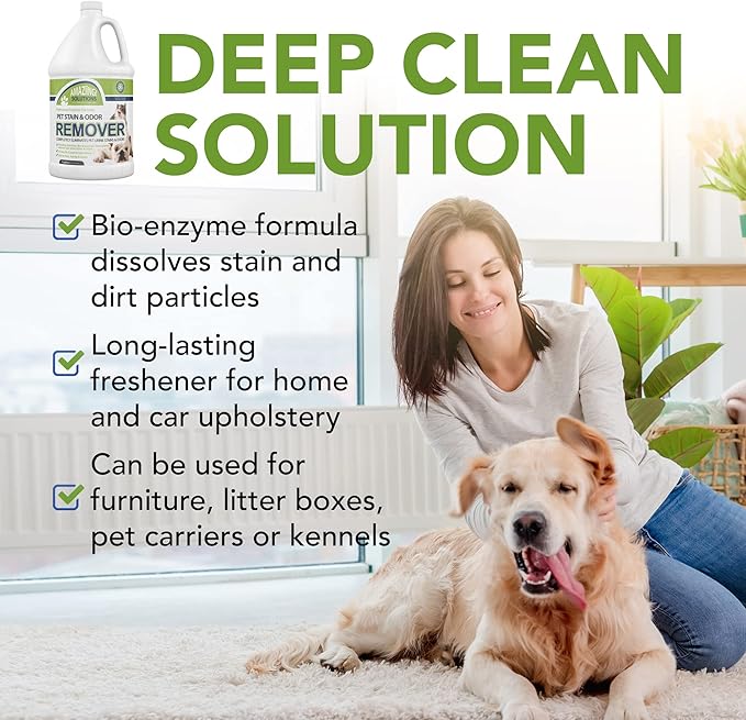 Amaziing Solutions Pet Stain and Odor Remover - Enzyme Cleaner, Pet Urine Odor Eliminator Refill - Floor & Carpet Cleaner, Pet Deodorizers For Home, Fabric Freshener W/Fresh, Clean Scent, 1 Gallon