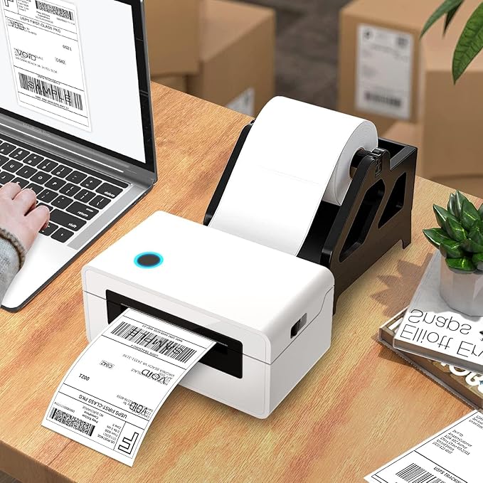 FungLam 10 Rolls 4"x6" Direct Thermal Printer Label, Shipping Labels Compatible with Zebra, Rollo and Most Thermal Printer, Perforated Postage Label Paper, 250 Labels/Roll