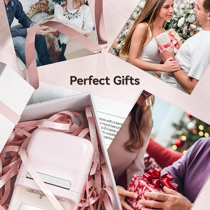 NIIMBOT B21 Label Maker, Inkless Bluetooth Label Printer, 2 Inch Portable Thermal Sticker Machine for Small Business,Marson Jar, Logo, Clothing, Mailing, Candles & Jewelry, Ideal for Gifting, (Pink)