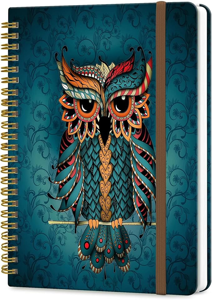 Spiral Journal Notebook, A5 Cute Notebooks for Women Men, College Ruled Hardcover Notebook for Work & Note Taking, 60 Pages Double-Wire Journals for Writing, Cool Boho Owl