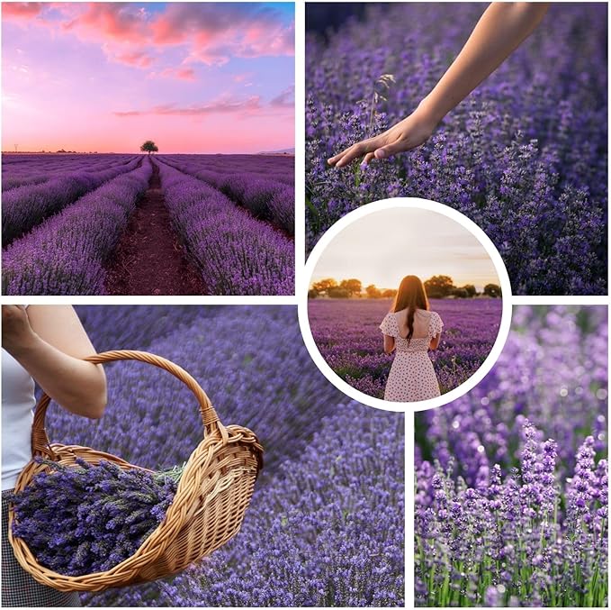 245XL Ink Cartridge Replacement for Canon 245XL Black Ink PG-245 Compatible with Pixma MX490 MX492 MG2522 MG3022 MG2520 TS3100 TS3122 TS3300 TS3322 TR4522 Printer (1 Black Pack)