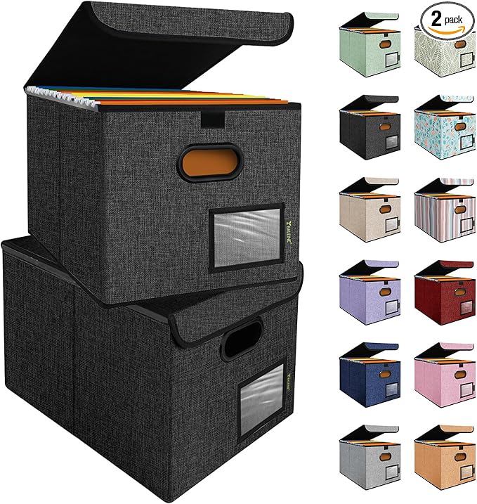 BALEINE File Organizer Box with Lid, Collapsible File Folder Organizer with Plastic Slide, Hanging File Folder Box for Office Document Storage (2 Pack, Black)