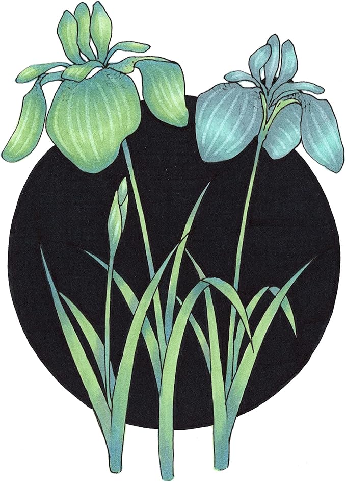 Copic Ciao, Alcohol Markers, 6 Colors Dual Brush Tip Art Marker for Adults/Teen Artists & Creators, Permanent Blendable Sketch Markers for Coloring Drawing & Illustration Art - Sea Color Set