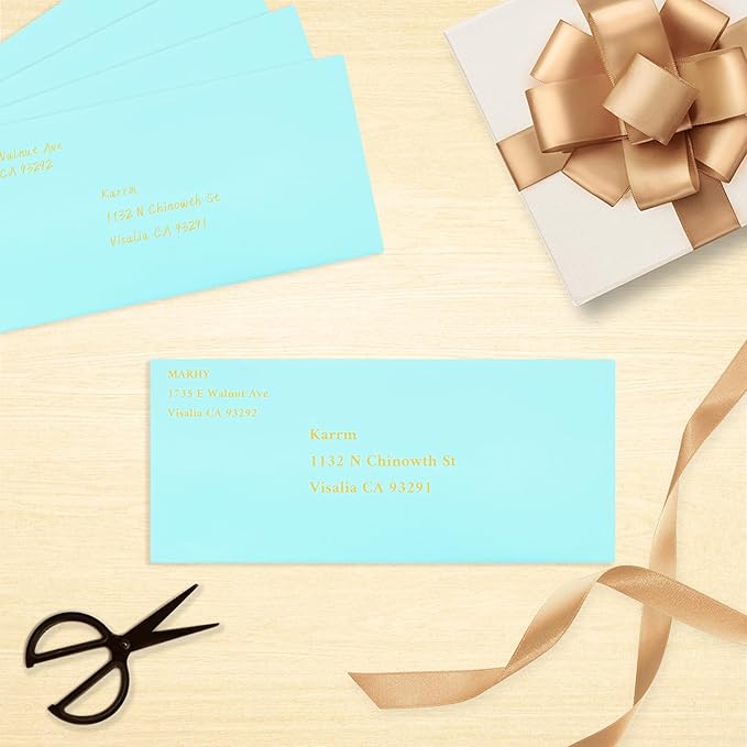 200 Pack #10 Business Envelopes, Light Blue Standard Envelopes Self Seal, Letter Size Business Mailing Envelopes for Checks Letters Invoices Statements Birthday Graduation Wedding, 4 1/8 x 9 1/2 Inch