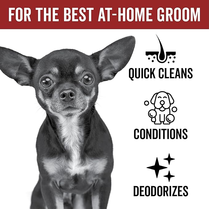 Pride and Groom DogDays No Rinse Quick Cleaning Shampoo | Waterless Foaming Dry Shampoo for Dogs & Cats | Odor-Eliminating, Hypoallergenic Pet Cleanser | 8 fl oz | Made in USA
