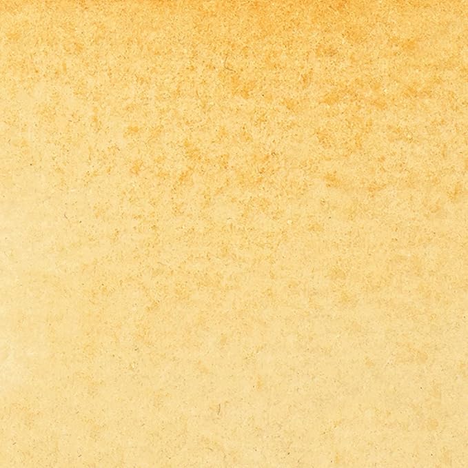 Winsor & Newton ProMarker Watercolor Marker, Raw Sienna