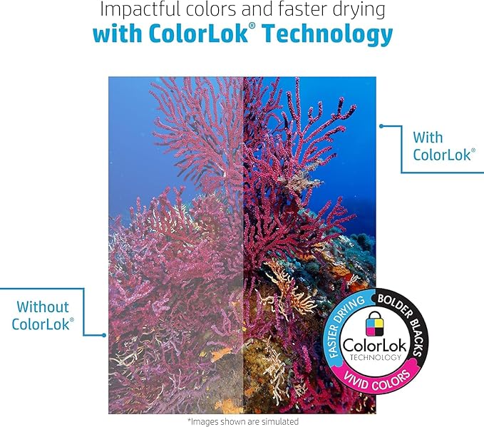 HP Printer Paper | 8.5 x 11 Paper | Premium 24 lb | 5 Ream Case - 2500 Sheets | 100 Bright | Made in USA - FSC Certified | 115300C