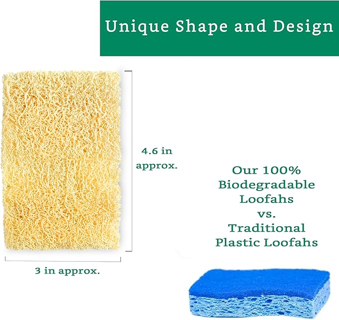 Natural Loofah Kitchen Sponge (XL - 10 Pack) - Natural Sponges for Dishes - Eco Friendly and Compostable Sponges - Plant Based Kitchen Dish Biodegradable Sponge