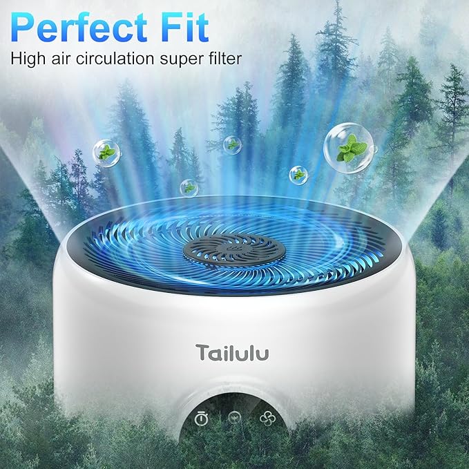 Tailulu D10 Replacement Filte, Air Purifier Filter for Tailulu D10 Air Purifier, 3-in-1 H13 Grade True Replacement Filte, D10 Replacement Filter 1 Pack