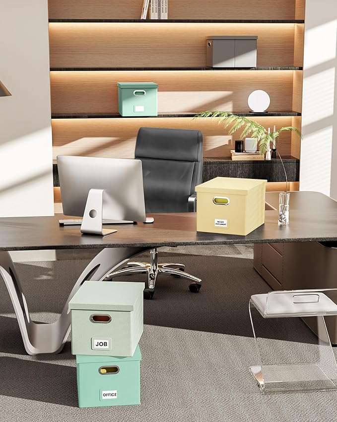 Oterri File Organizer Box,Filing Box with Lid,File Box for Letter/Legal File Folder Storage, Portable Hanging File Box for Office/Decor/Home,1 Pack, Mint-green(Leather),Box only