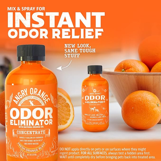 ANGRY ORANGE Pet Odor Eliminator – Citrus Concentrate (8 oz, Makes 128 oz) + 1 Gallon Cleaner for Dog and Cat Urine, Stains, and Odors