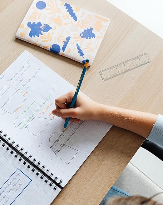 2 Pack 6 inch Clear Plastic Ruler, 15 cm Straight Rulers, Transparent Measuring Tools, Drafting Tools, Flexible Ruler with Inches and Centimeters for School and Office Supply