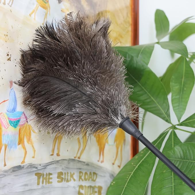 Natural Ostrich Feather Duster 14.9 inch Fluffy Mini Dusters with Plastic Handheld for Cleaning Car Keyboard Office 1 Pcs