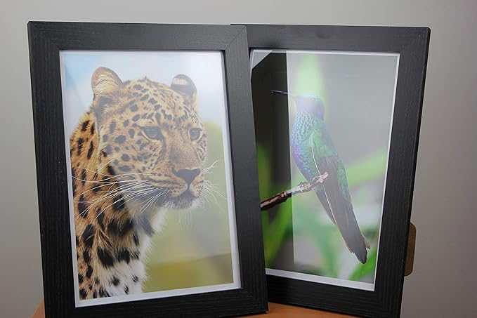 PPD Glossy Photo Paper for Inkjet Printer, 8.5 x 11" Premium Quality Printable Sheets for Custom Picture, Professional Photographic Instant Dry For Normal, Dye or Pigment Ink (50 Pack/255 gsm)