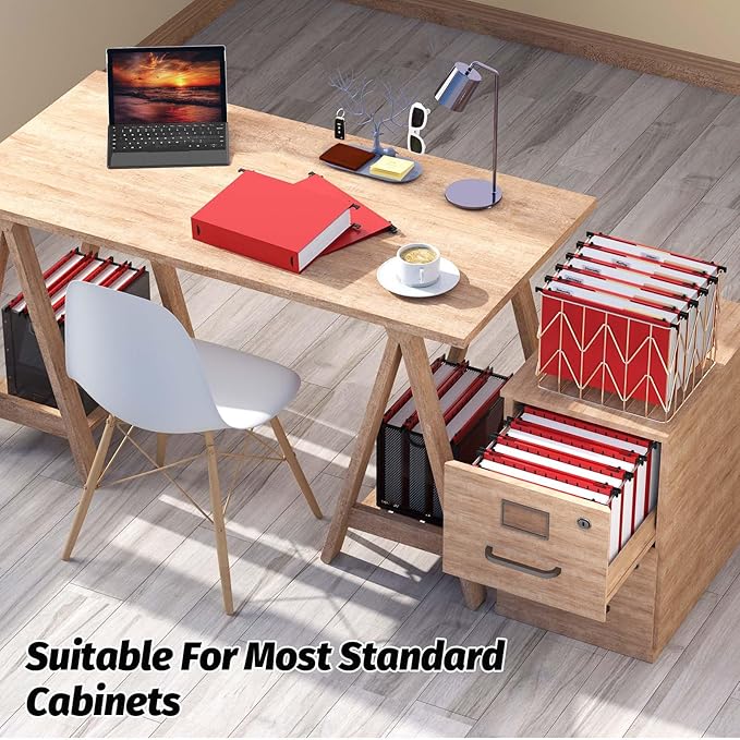 Extra Capacity Plastic Hanging File Folders,12 Pack Reinforced Hang Folders,Heavy Duty 2 Inch Expansion,Plastic Filing Cabinet Folders,Letter Size,for Bulk Files, Medical Charts,Red