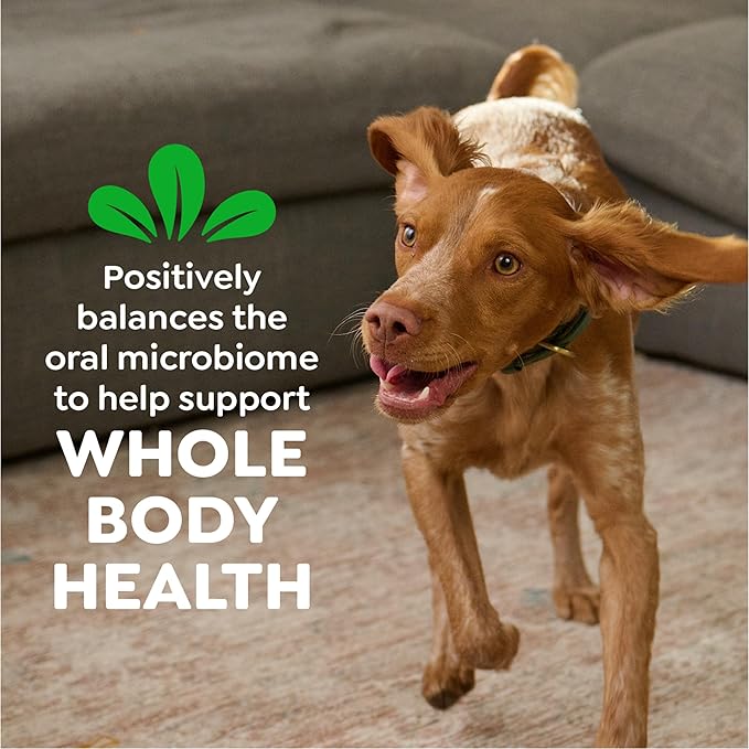 Greenies Veterinarian-Recommended Adult Natural Dental Dog Treats Petite Size, Original Flavor, 3 oz. Pack, 5 Count