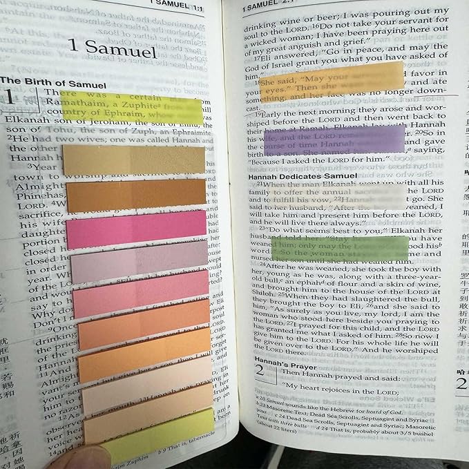 ELII 3600pcs Books Tabs for Annotating Page Markers Morandi Sticky Index Tabs,Transparent Sticky Notes Tabs Label Stickers Index Tabs for Reading Notes, Classify File