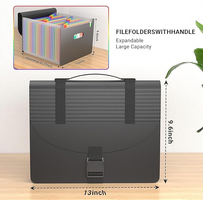 File Organizers with Handle,25 Pockets Accordion File Organizer,Portable Expanding File Folder for Receipt,Bill, A4/Letter Size Paper,Documents,a-z Tabs Included in Filing Folder Frosted