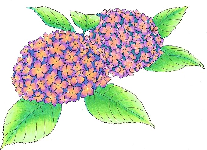 Copic Ciao Pastel Alcohol Markers 6 Colors Dual Brush Tip Art Marker for Adults/Teen Artists & Creators, Permanent Blendable Sketch Markers for Coloring Drawing & Illustration Art - Pastel Color Set