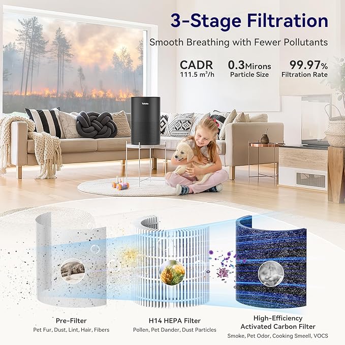 Tailulu Official AP050 AP052 Air Purifier Replacement Filter, 3-in-1 Air Purifier Filter, True H13 HEPA Filter, 1Pack