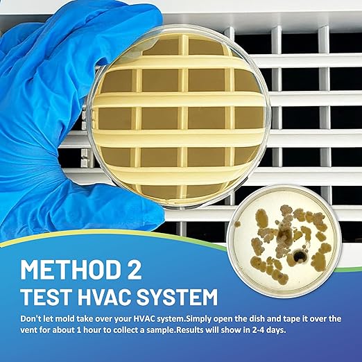 Mold Test Kit for Home,14 Simple Detection Tests,Test HVAC System,Home Surfaces, Indoor Air Quality Testing,DIY Mold Detector,Includes Detailed Mold Identification Guide,Black Mold Testing kit