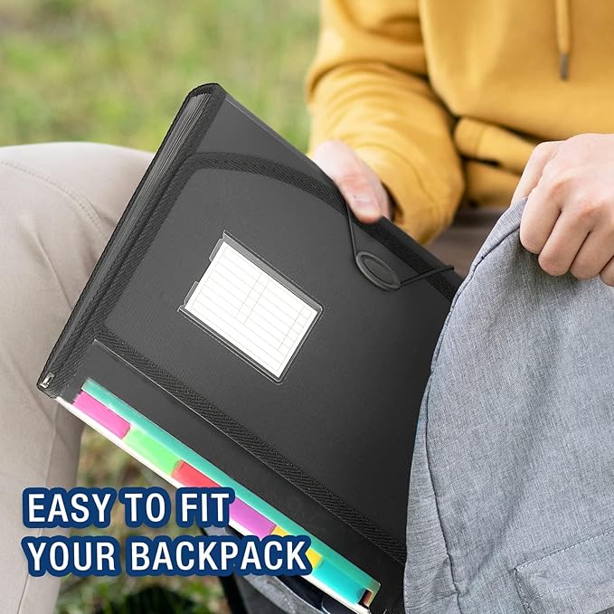 H4D Accordian File Organizer, 13 Pocket Expanding File Folder with Labels for Documents, Letter Size, 2 Packs