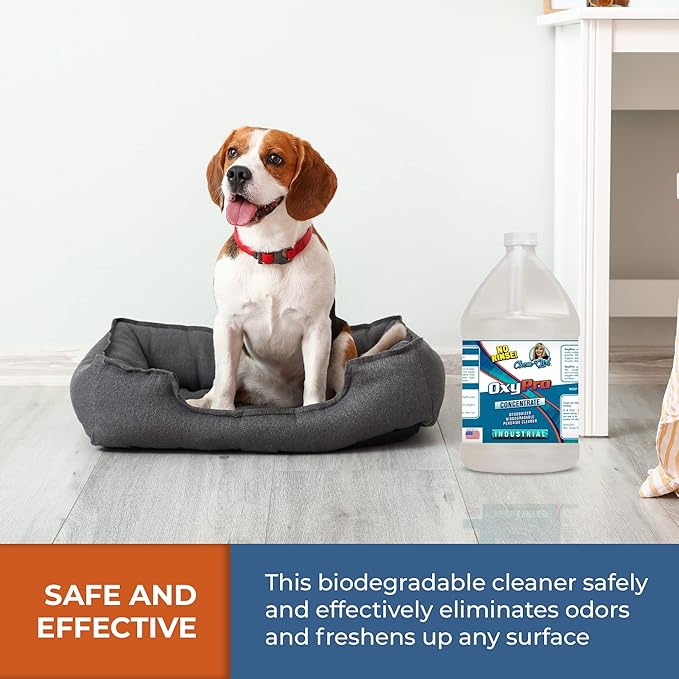 Chem-Girl OxyPro Concentrated Multi-Purpose Surface Cleaner to the Rescue - Chlorine-Free, Oxygen-Powered Stain & Odor Remover, 5 Percent Hydrogen Peroxide (H2O2), 1-Gallon, 2-Pack