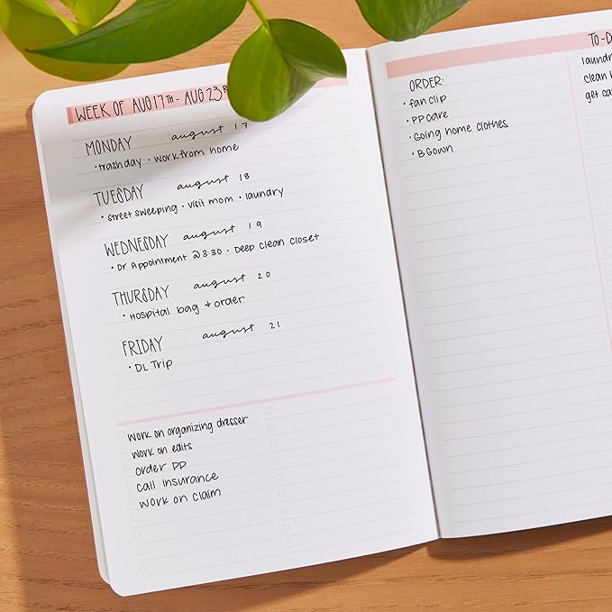 Erin Condren Productivity Petite Journal, Evolve Design, Compact Lined Notebook for List-Making, Note-Taking, To-Do Lists, Writing and Organization, Portable Softcover Journal, Colorful Cosmos 2