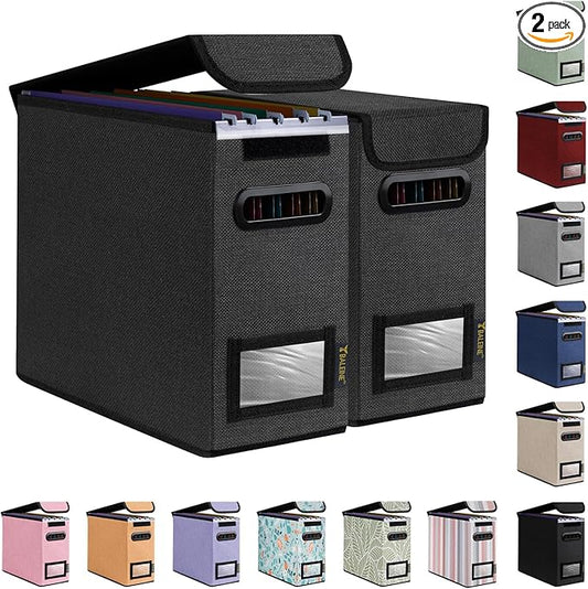 BALEINE File Organizer Box with Lid, Collapsible File Folder Organizer with Plastic Slide, Hanging File Folder Box for Office Document Storage (2 Pack, Black, S)