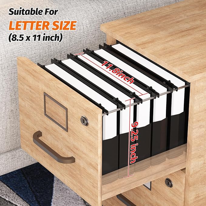 Extra Capacity Plastic Hanging File Folders,12 Pack Reinforced Hang Folders Letter Size,Accordian Pocket,Heavy Duty 2 Inch Expansion,Hard Hanging Folder Organizer for Office Home,Black