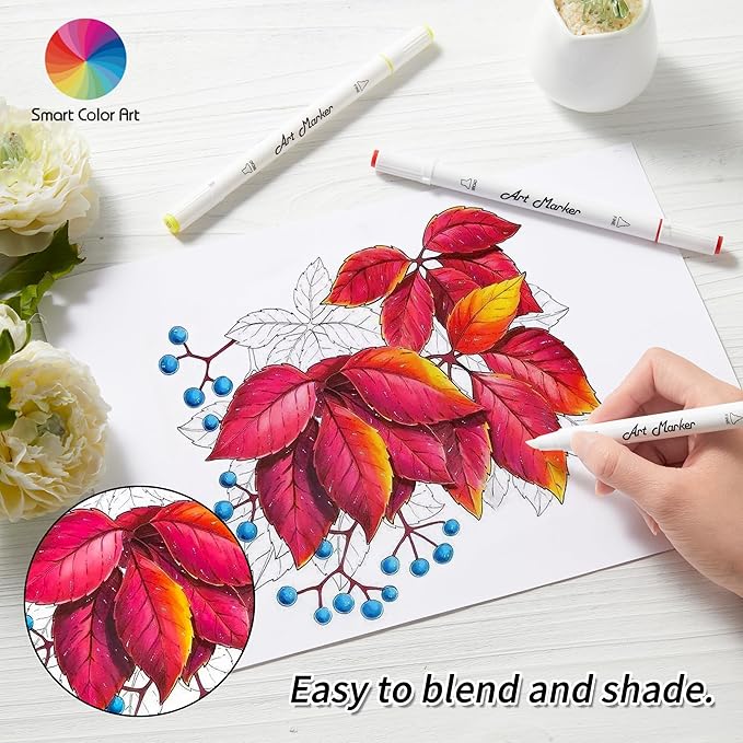 ChicRosa Art Markers, 65 Coloring Markers and 1 Blender, 66 Pack Alcohol Based Dual Tip Permanent Markers Highlighters with Case, Excellent for Adults Kids Coloring Marking Drawing Sketching (Black)