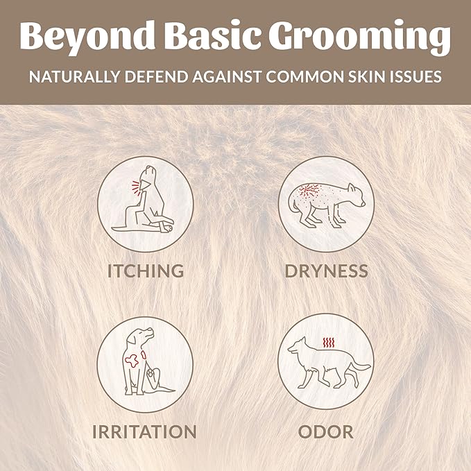 SKOUT'S HONOR Probiotic Pet Deodorizer Spray- Hydrating Daily-Use with Avocado Oil & Omega-3s, Microbiome Friendly Certiified, Paraben & Sulfate-Free, 97% Natural, 8oz, Dog of The Woods, 2-Pack