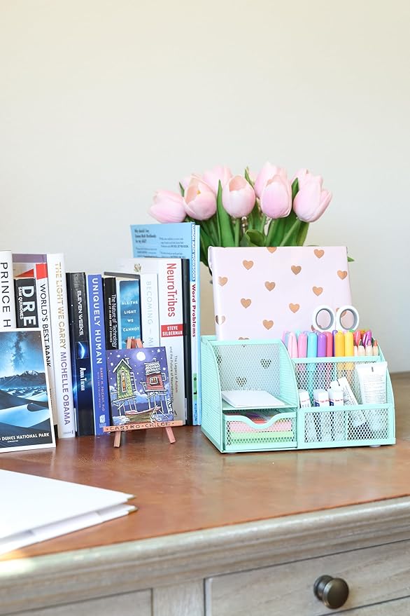 Annova Mesh Desk Organizer Office with 7 Compartments + Drawer/Desk Tidy Candy/Pen Holder/Multifunctional Organizer (Turquoise)