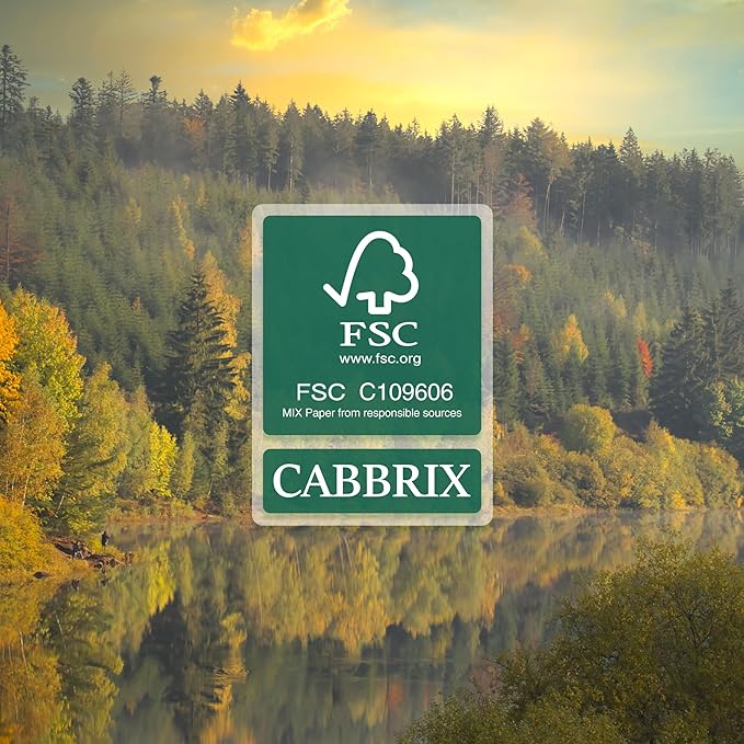 Cabbrix Large Desk Calendar 2025-2026 with Desktop Mat, Desk Pad Calendar July 2025 to December 2026, 21 x 16-1/2 Inch Desk Blotter Calendar for Home School and Office, Black