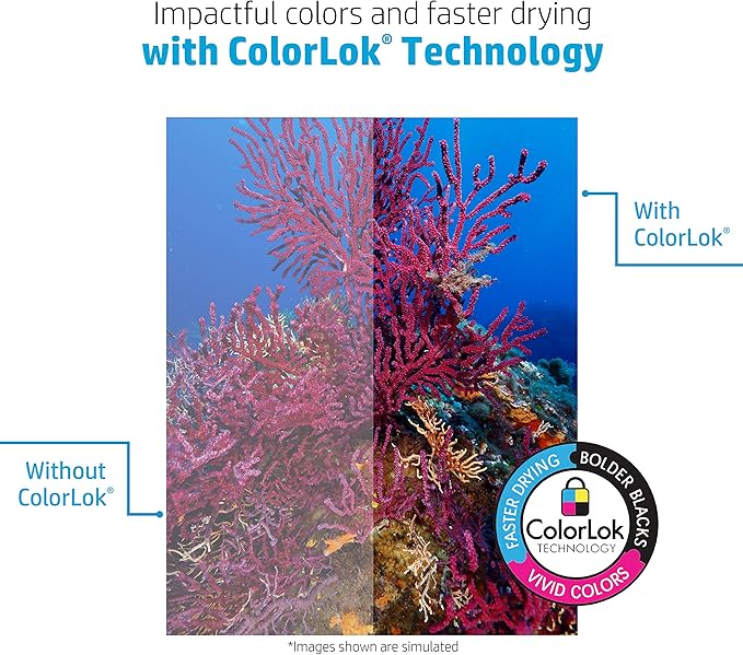 HP Printer Paper | 8.5 x 11 Paper | Premium 32 lb | 6 Pack - 3000 Sheets | 100 Bright | Made in USA - FSC Certified | 113100C